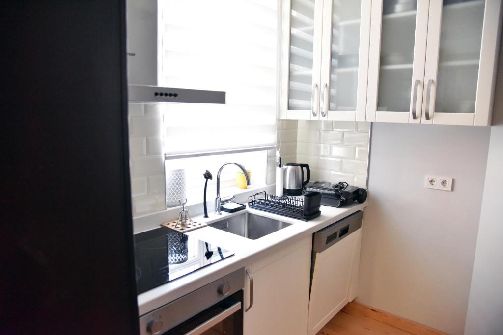 Kuchyň nebo kuchyňský kout v ubytování İstanbul Guesthouse
