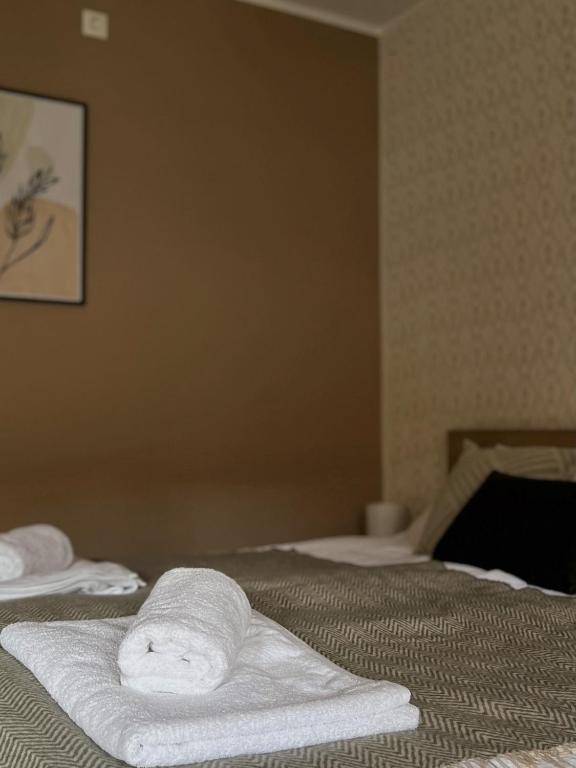 Seoski turizam Jagodić - Doppelzimmer Mit Eigenem Bad