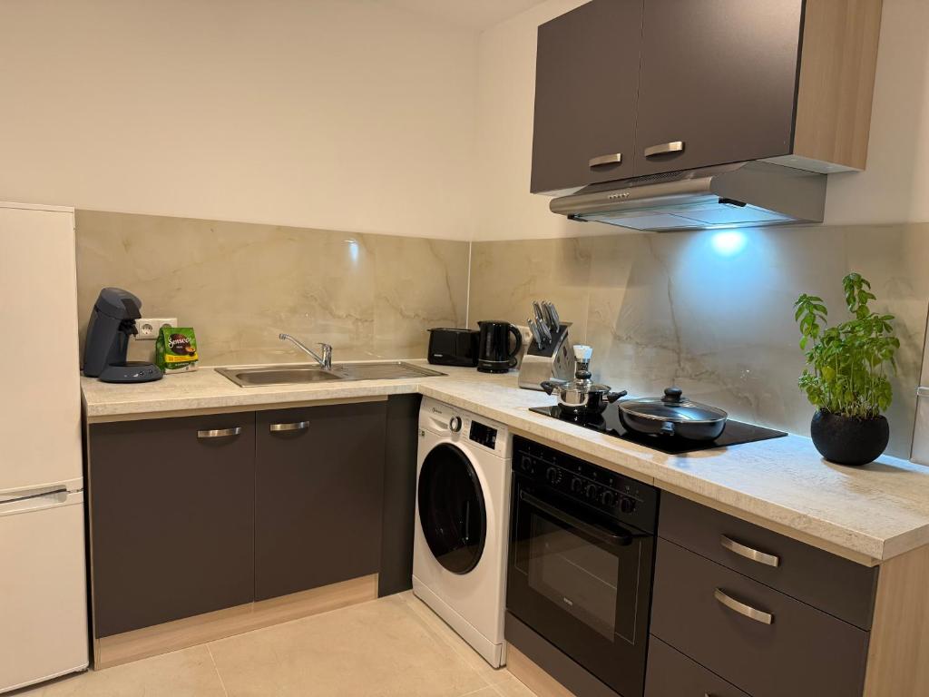 eine Küche mit Spüle und Geschirrspüler in der Unterkunft Apartment WH7 in Frechen