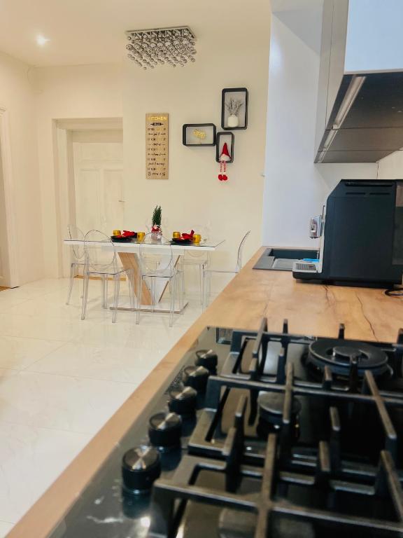 Kuchyň nebo kuchyňský kout v ubytování Wenceslas square apartment 150 m2