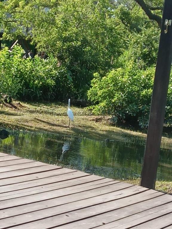 Cabaña A lo de Mary Delta Tigre isla