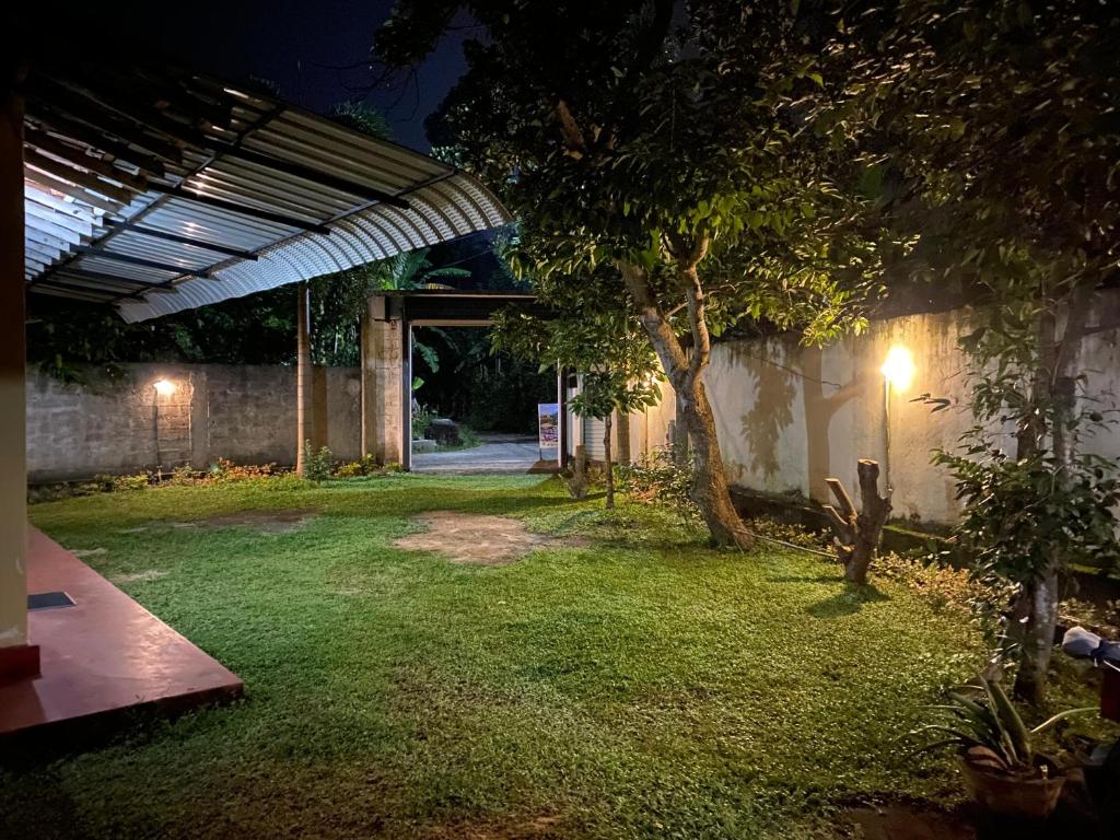 a garden at night with a tree in the yard at NimSri Villa by Prazzventures in Mirissa