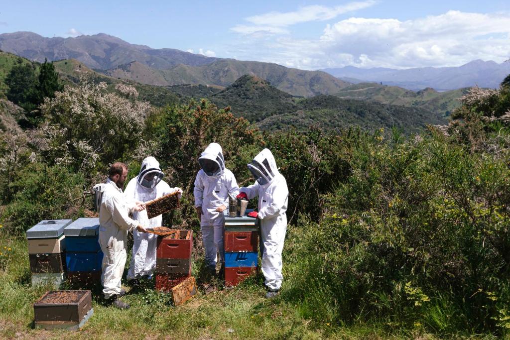 Ata Rangi Lodge Kaikoura - Resim 38