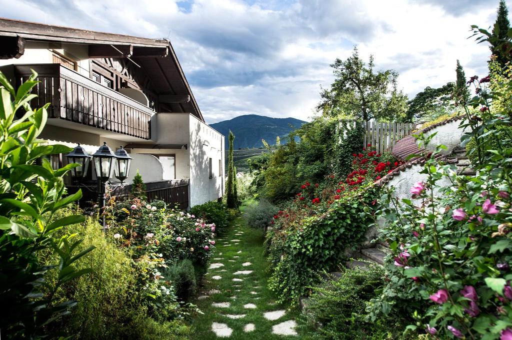 Nespecifikovaný výhled na hory nebo výhled na hory při pohledu z hotelu