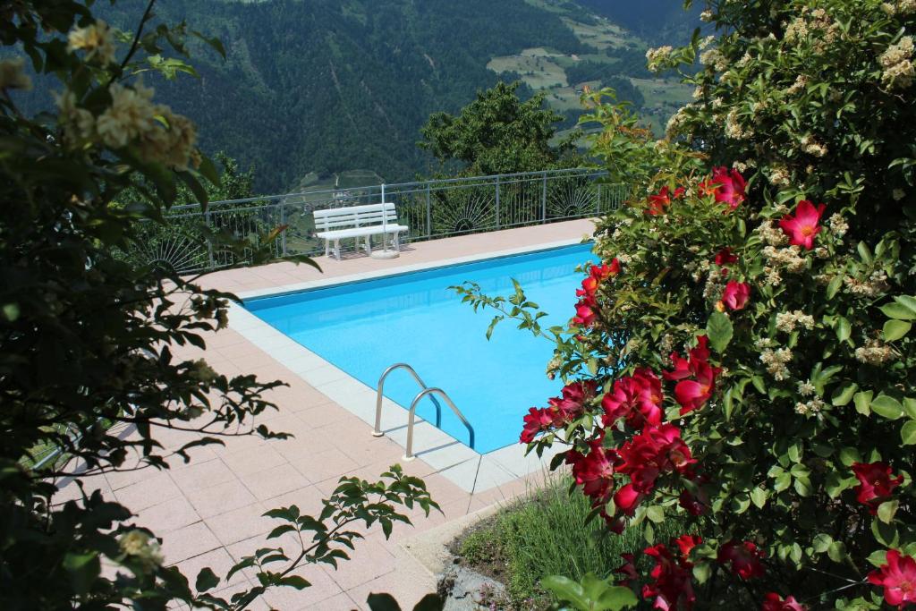 Bazén v ubytování Hotel Pichler nebo v jeho okolí