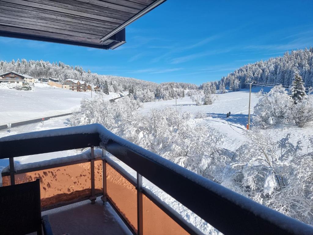 a view from a balcony with snow covered trees at Studio tout confort in Lamoura