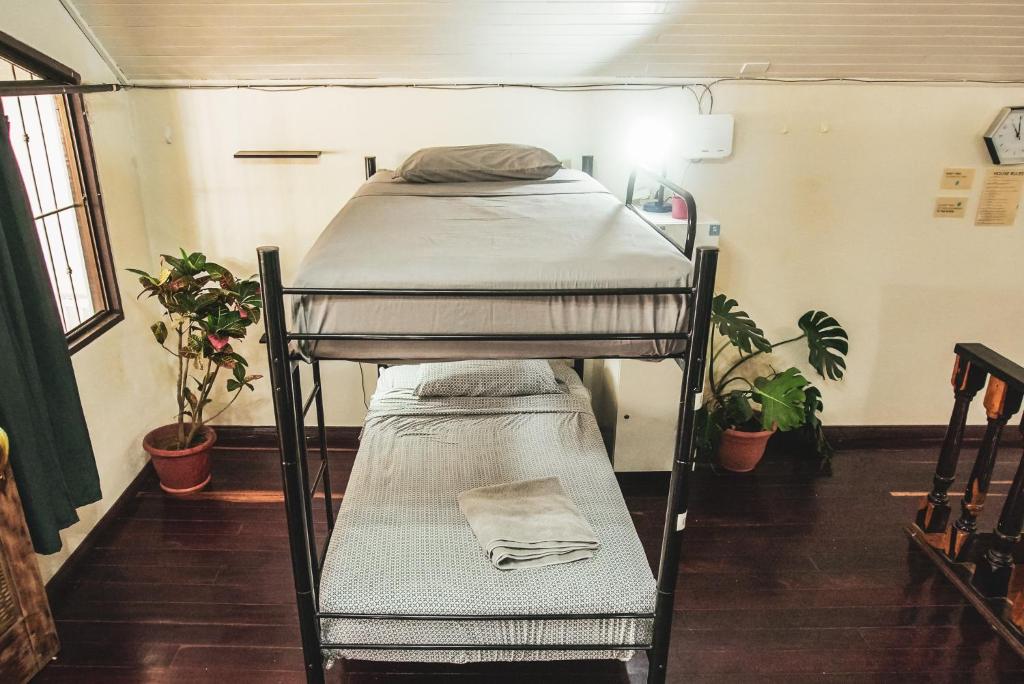 Postel nebo postele na pokoji v ubytování Mai Ke Kai Surf House