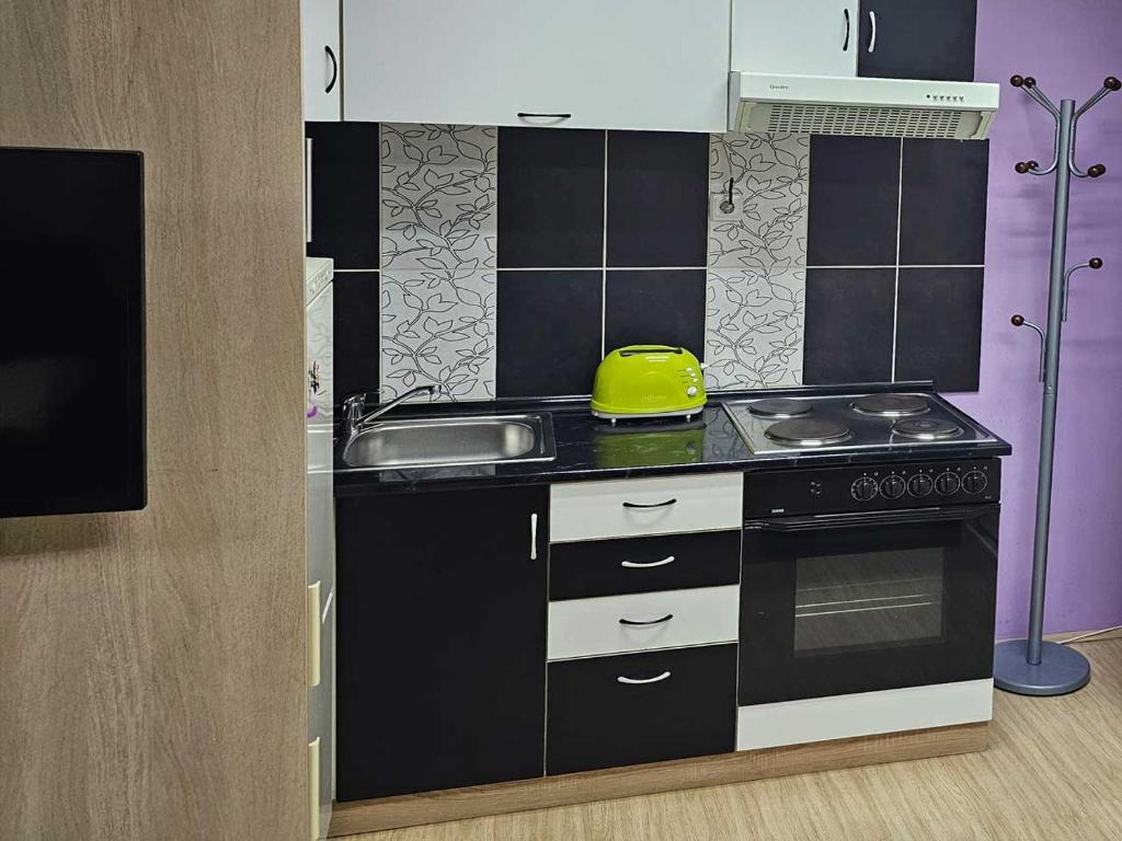 Köök või kööginurk majutusasutuses Apartman LENI2 u centru Zajecara