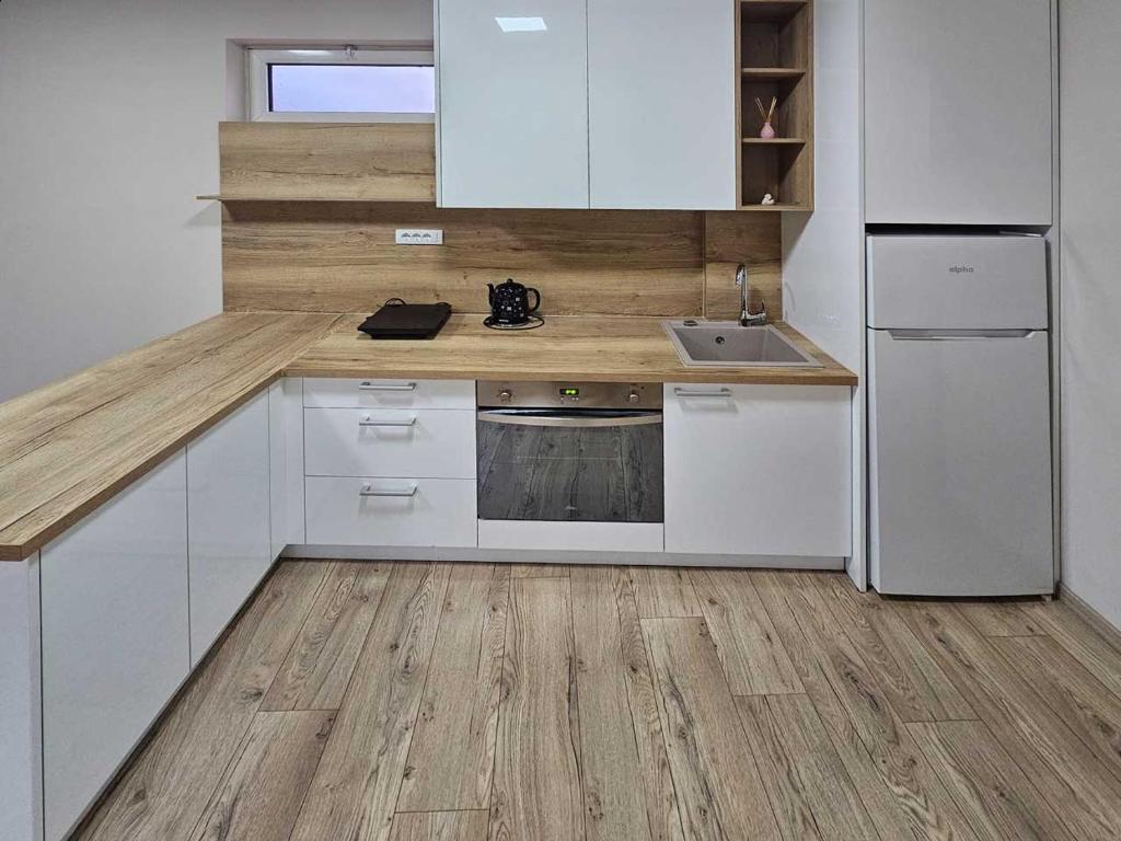 Köök või kööginurk majutusasutuses Apartman LENI2 u centru Zajecara
