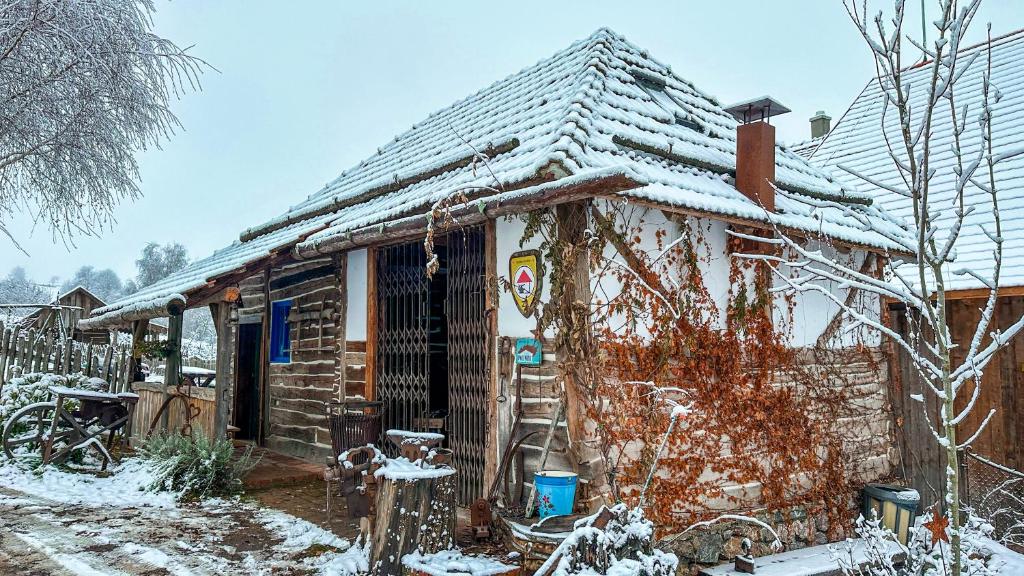 a house with snow on the roof at Casa Fierarului in Şinteu