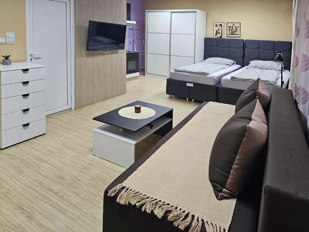 Televiisor ja/või meelelahutuskeskus majutusasutuses Apartman LENI2 u centru Zajecara