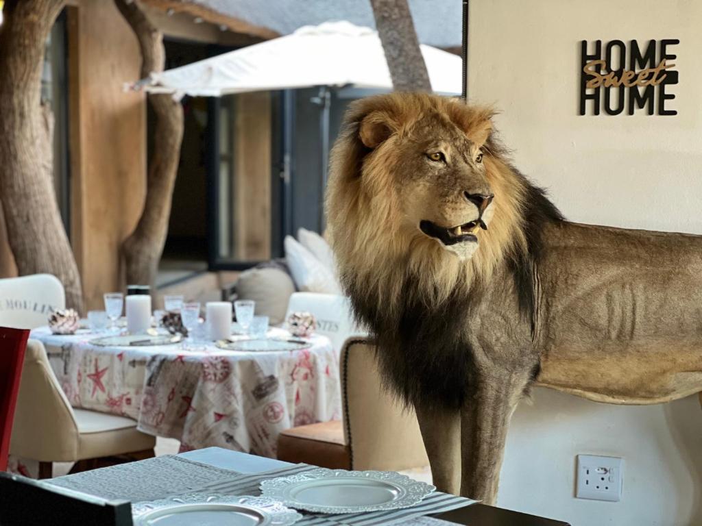 Fotografie z fotogalerie ubytování Simba Safaris African Pride Exotic Lodge v destinaci Lephalale