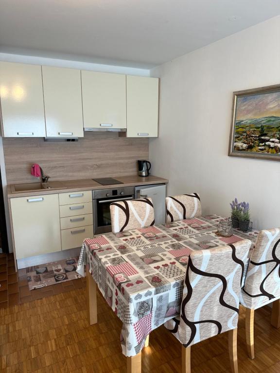 Kuchyň nebo kuchyňský kout v ubytování Retro apartments Kaninska vas