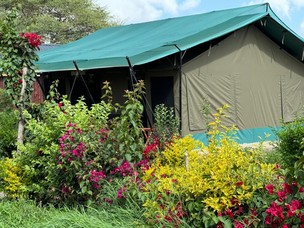 Zahrada ubytování Amboseli Discovery Camp