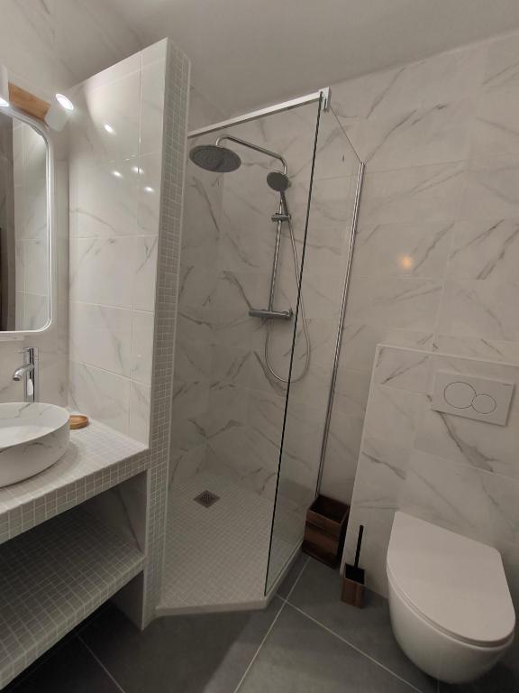 une salle de bain avec une douche, des toilettes et un lavabo dans l'établissement Confortable 2 pièces entre Menton et Monaco avec parking privé, à Roquebrune-Cap-Martin