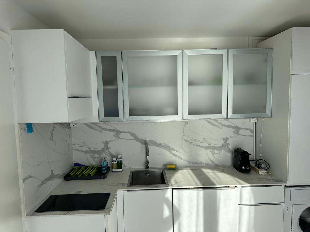 Dapur atau dapur kecil di Room with 360° view overlooking Lake Geneva and Alps
