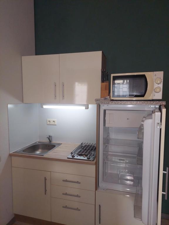 Kuchyň nebo kuchyňský kout v ubytování Schlossgartenpassage