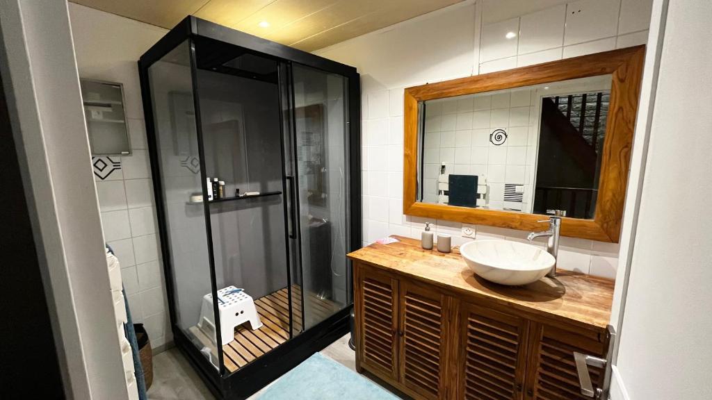 une salle de bain avec un lavabo et une douche en verre dans l'établissement La Maison de Tigery, à Tigery