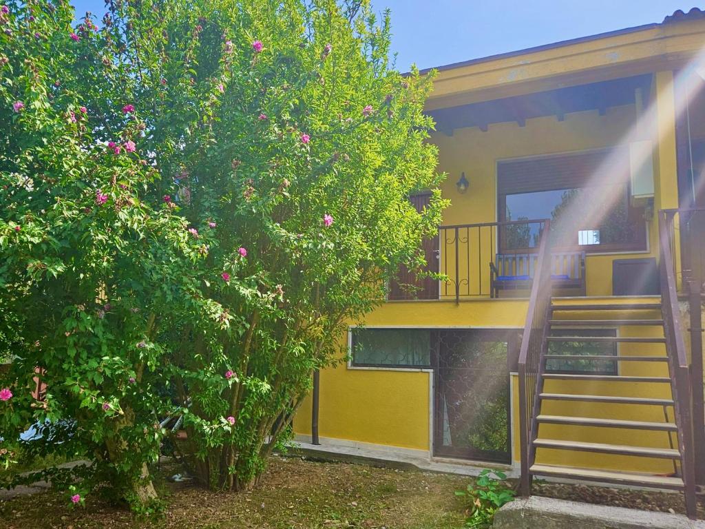 Budova, v ktorej sa apartmán nachádza