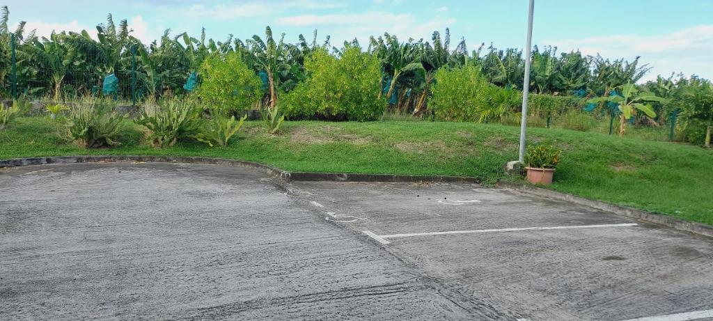 Zahrada ubytování SOLEY KARAIB Appartement au Vauclin Martinique