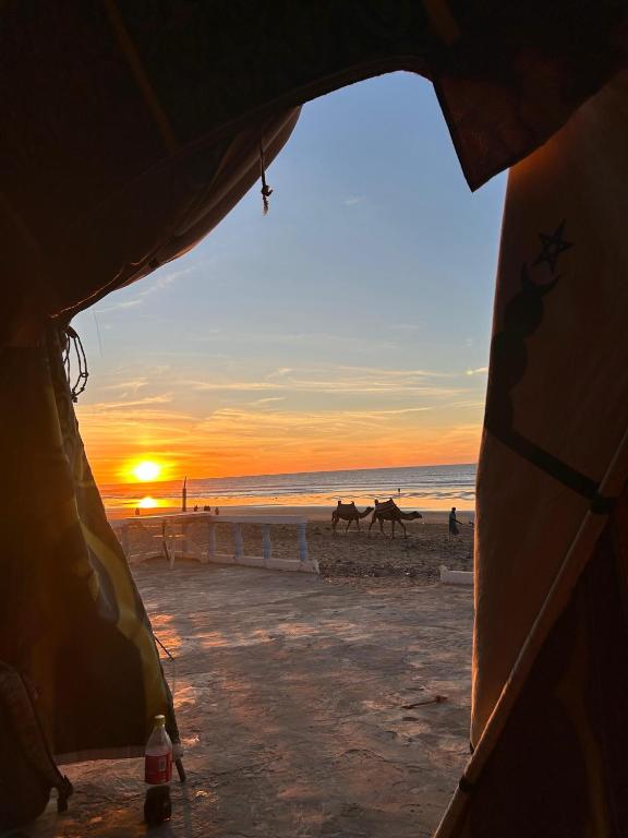 Příroda nedaleko luxury tent