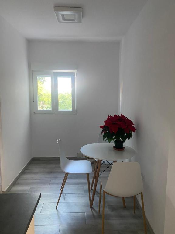 Alojamiento Canaima - 2