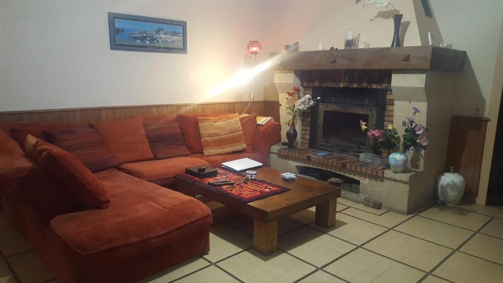 un salon avec un canapé et une cheminée dans l'établissement T2 et chambres d'hôtes dans écolieu arts, ride et autres activités, à Saint-Pandelon