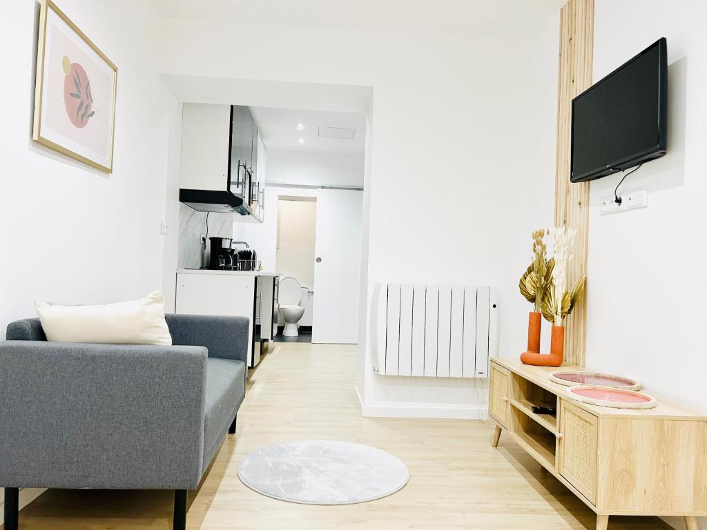 un salon avec un canapé et une télévision dans l'établissement Studio Royal Séjour proche centre, parking gratuit, à Saint-Quentin
