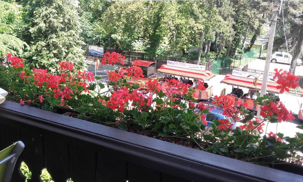 Zahrada ubytování Gabi Villa