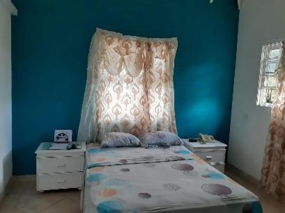 una camera da letto con un letto e una parete blu di Pondbottom Apartment #7 a Saint James