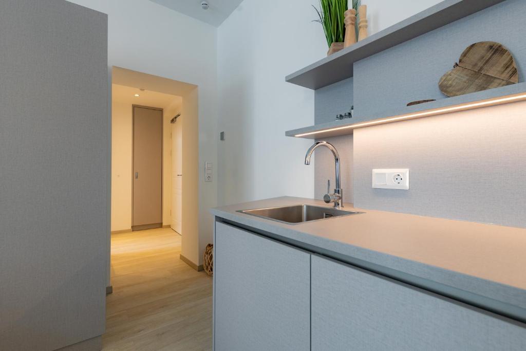 Kuchyň nebo kuchyňský kout v ubytování Apartment Mohr am Semmering