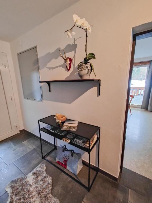 Fotografie z fotogalerie ubytování Apartment Anni im Haus Hintertal v destinaci Bramberg am Wildkogel