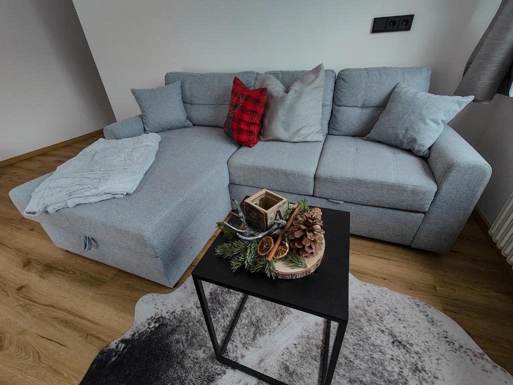 Posezení v ubytování Apartment Anni im Haus Hintertal