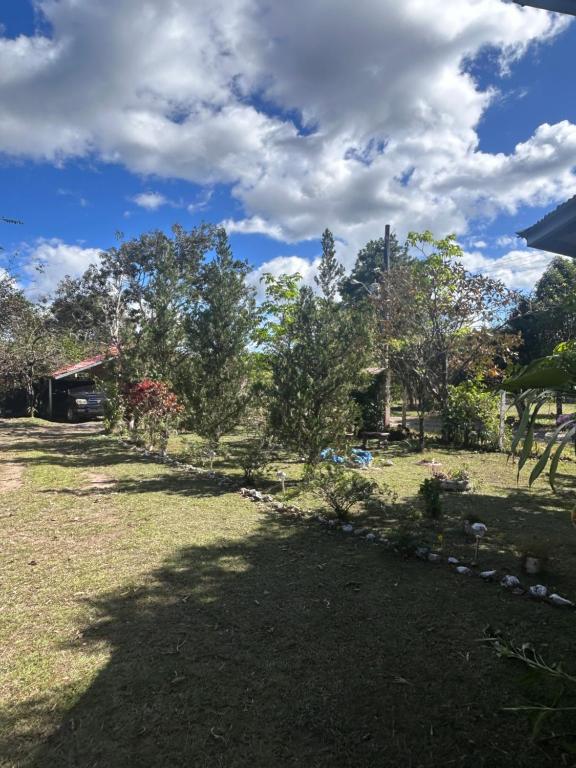 Jardín al aire libre en Linda Vista Cabins