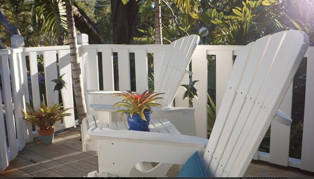 Balkón nebo terasa v ubytování Coconut Palm Inn