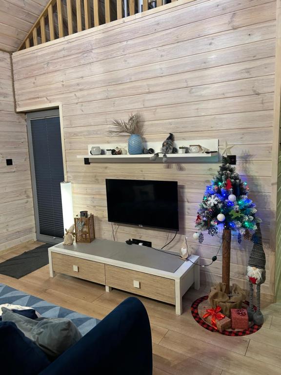 TV a/nebo společenská místnost v ubytování Mazury Dom Oluś nad jeziorem Sasek Wielki z gorącą balia z funkcją jakuzzi