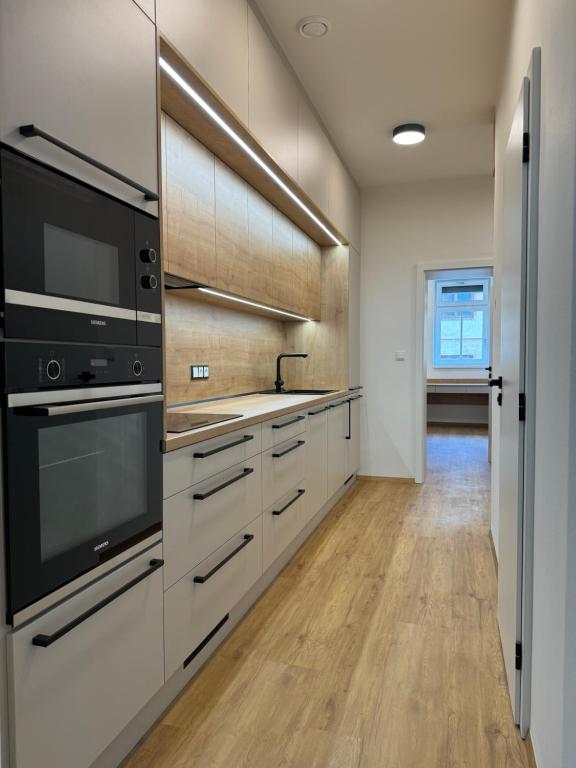Kuchyň nebo kuchyňský kout v ubytování Fresh Apartments