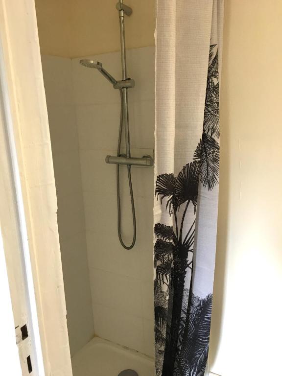 La salle de bains est pourvue d'une douche avec rideau de douche. dans l'établissement Fleur de lumiere, au Creusot