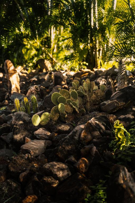 Paesaggio naturale nelle vicinanze dell'appartamento
