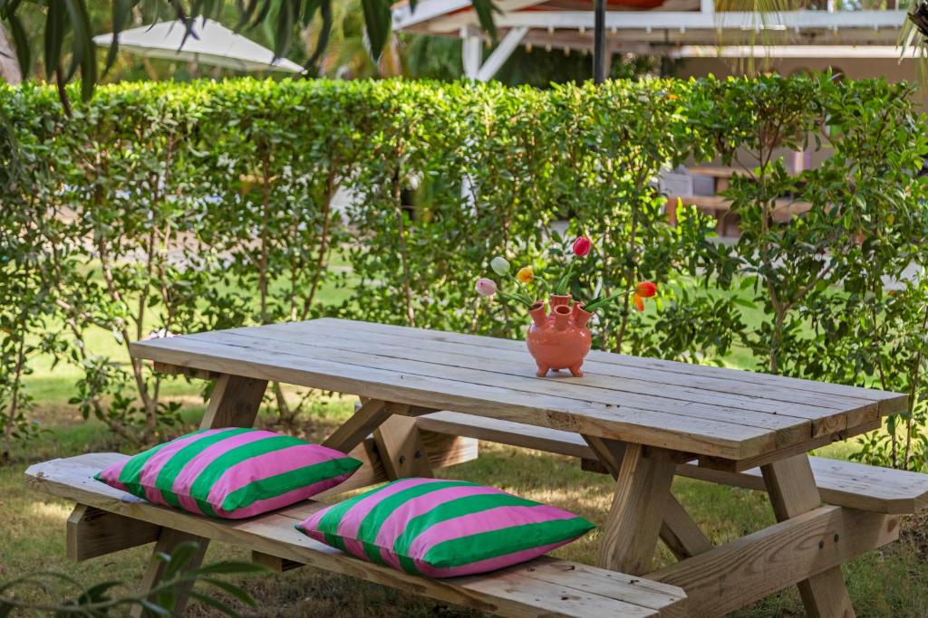 Zahrada ubytování TUK Tropical Boutique Resort Jan Thiel