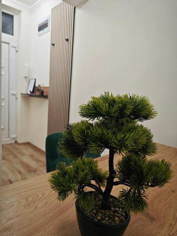 Fotografie z fotogalerie ubytování Central Greatforest Apartman v destinaci Debrecín