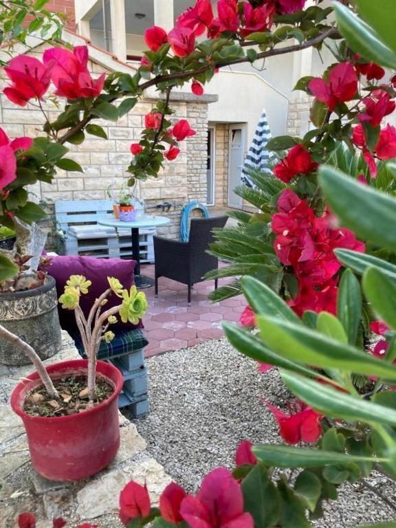 Zahrada ubytování Apartment Milna 8896b