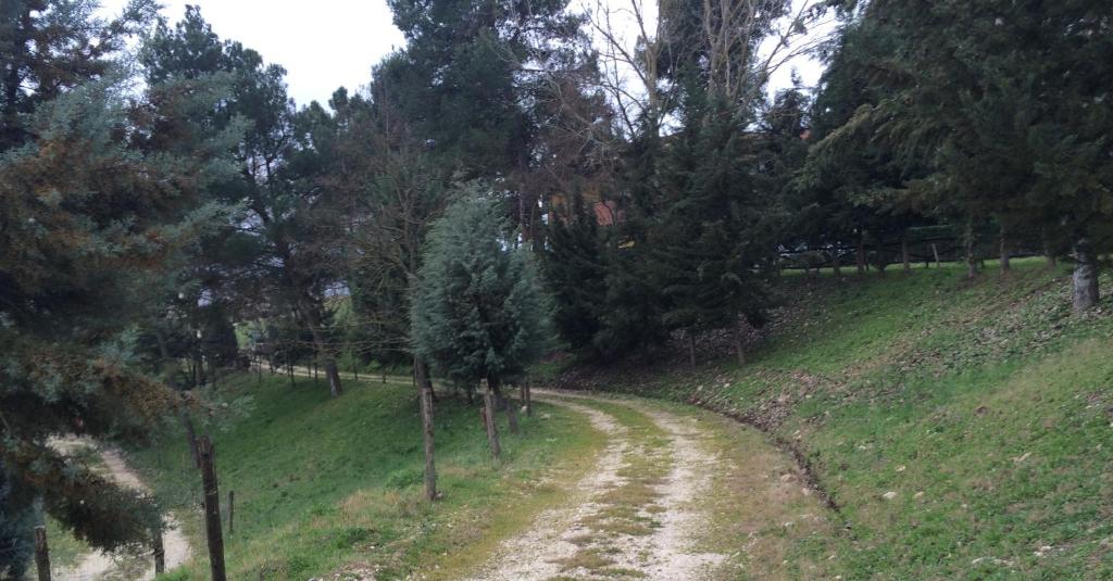 Příroda nedaleko hotelu
