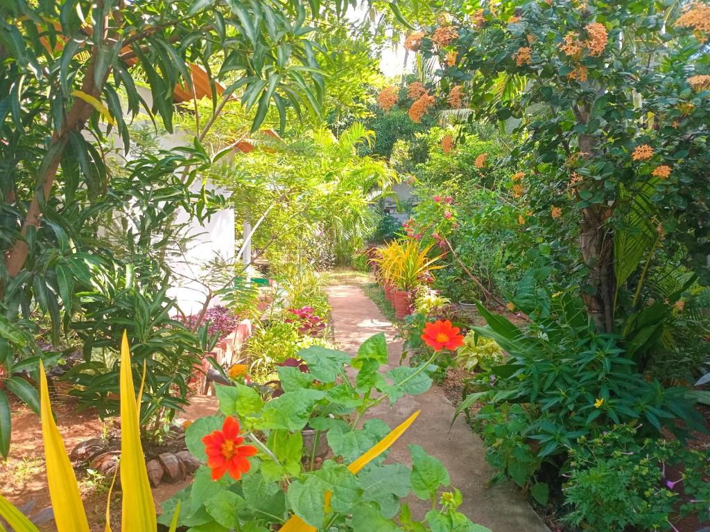 City Paradise Dambulla - 13