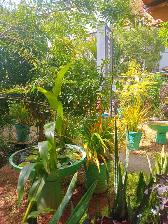 City Paradise Dambulla - 9