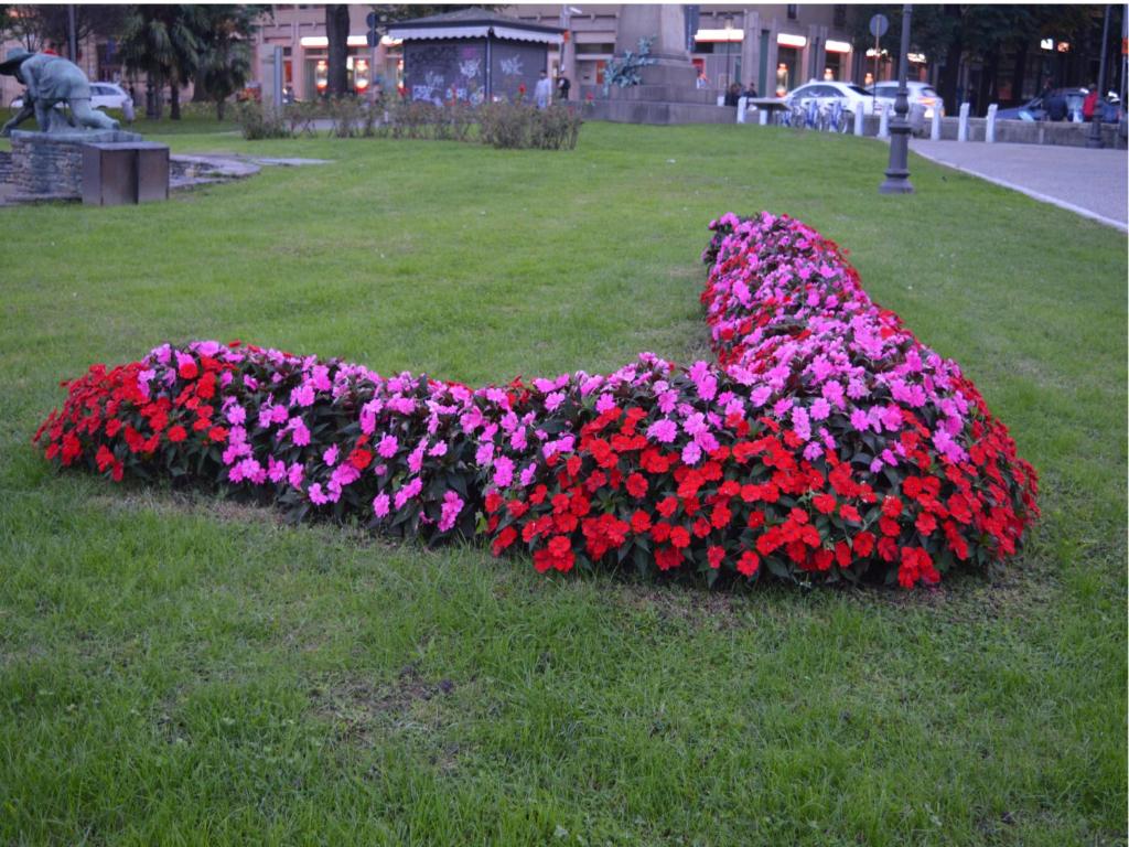 Zahrada ubytování Hotel Stazione