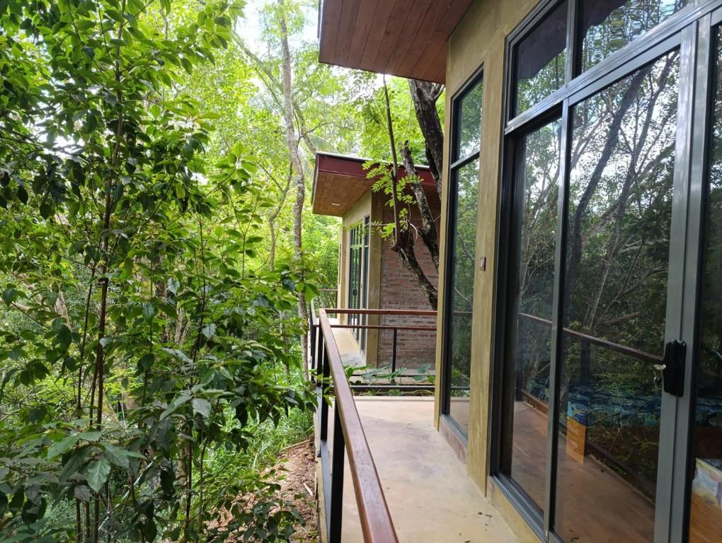 Zahrada ubytování Kandy Bird Villas