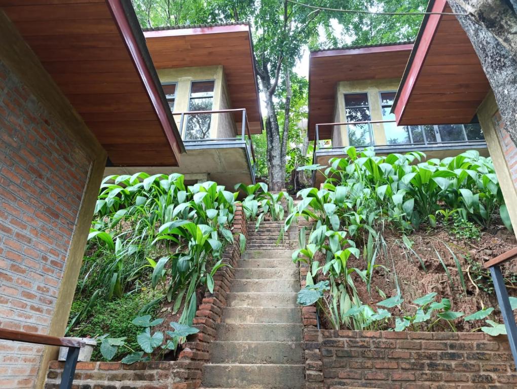 Zahrada ubytování Kandy Bird Villas