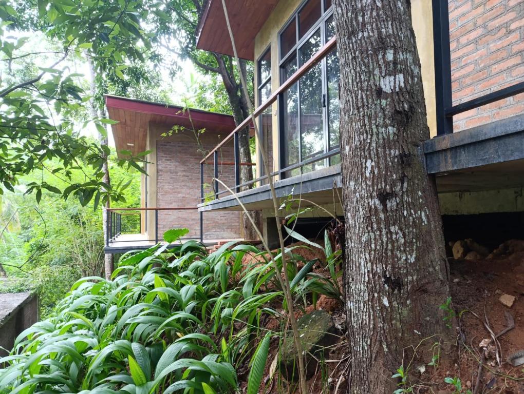 Zahrada ubytování Kandy Bird Villas