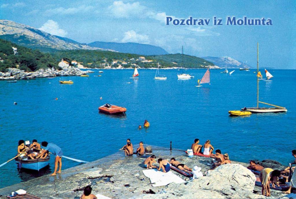 Príroda v okolí apartmánu